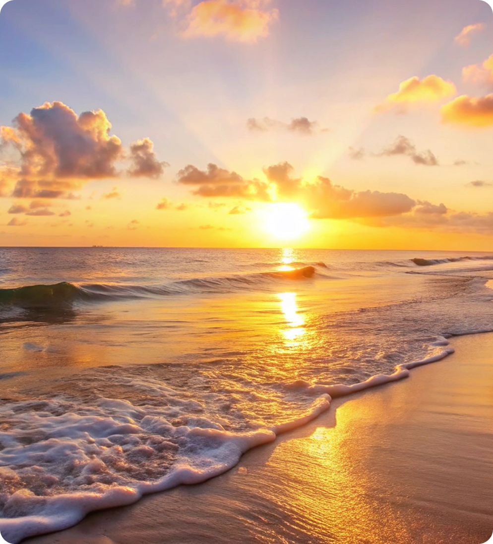 Golden sunset tropical beach with palm trees 1